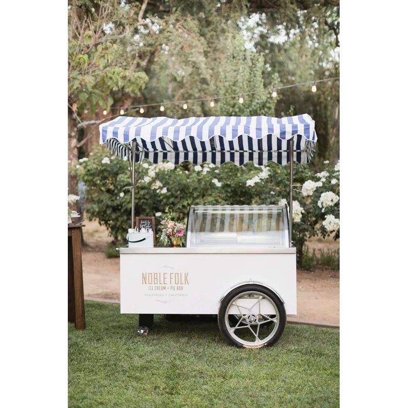 High-capacity gelato push cart for commercial use TT-L01