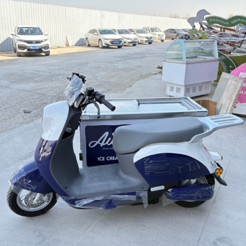 Totoo Ice Cream trike (2)