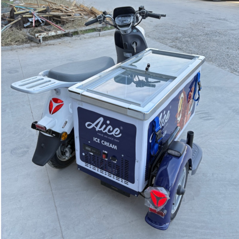 Totoo Ice Cream trike (3)